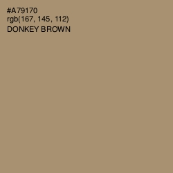 #A79170 - Donkey Brown Color Image